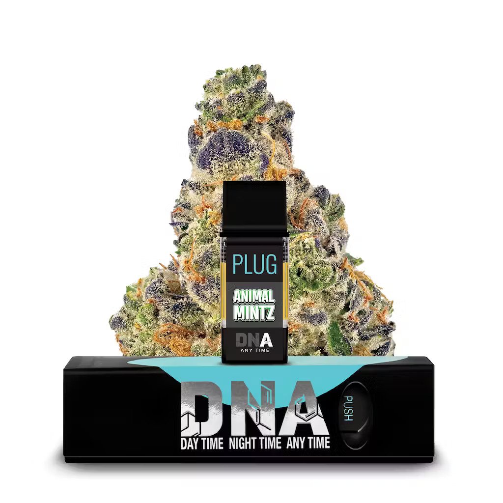 PLUG DNA Animal Mintz will unwind thanks to the calming effects with an aftertaste that is faintly minty and is both sweet and pungent.