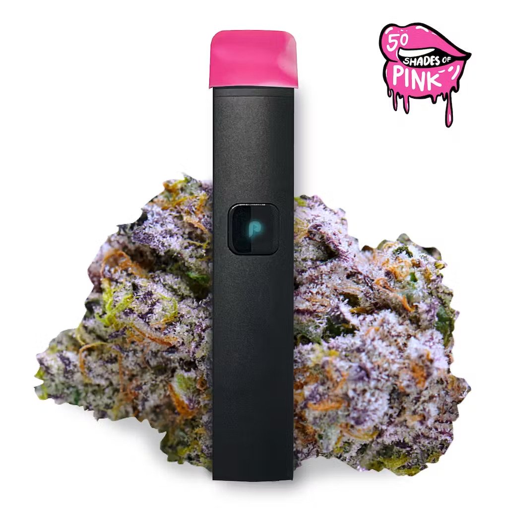 JUSTplay 50 Shades of Pink is a strain that’s fun and flirty, that will knock you out as well. Great for relieving aches and pains.Shop today from us.