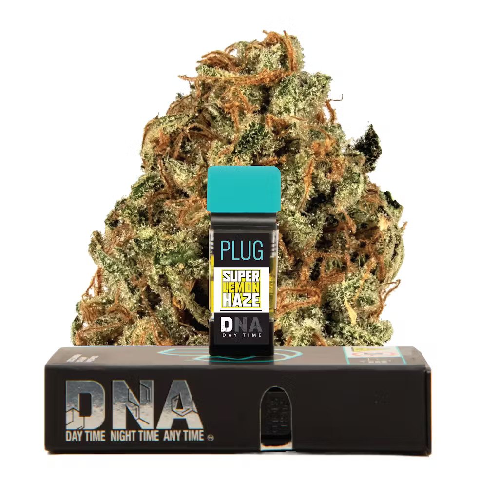 Plugplay Super Lemon Haze offers a distinctive experience. Its aroma is a zesty burst of lemon with sweet undertones and a subtle earthiness.
